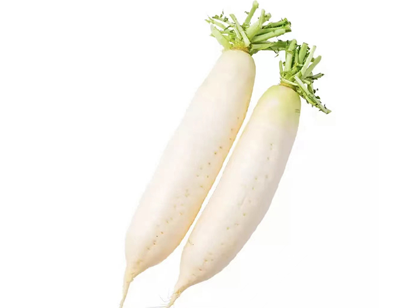 蔬菜配送-白蘿蔔